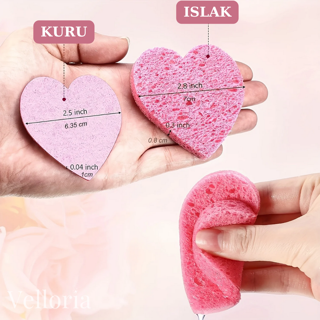 Velloria™ Kalpli Doğal Selüloz Sünger (10 Adet)